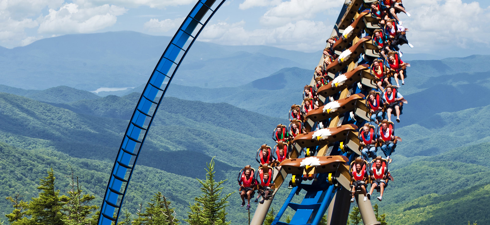 Dollywood Coaster close to Willow Brook Lodge in Pigeon TN